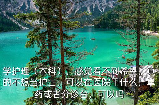 學(xué)護(hù)理（本科），感覺看不到希望，真的不想當(dāng)護(hù)士，可以在醫(yī)院干什么，拿藥或者分診臺，可以嗎