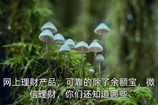 網(wǎng)上理財產品有什么,網(wǎng)上理財產品