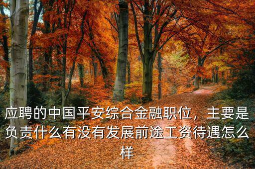 應(yīng)聘的中國(guó)平安綜合金融職位，主要是負(fù)責(zé)什么有沒(méi)有發(fā)展前途工資待遇怎么樣