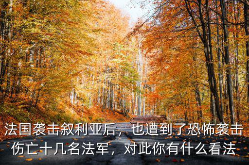 法國(guó)為什么會(huì)來恐怖襲擊,瓜達(dá)爾港遭遇恐怖襲擊