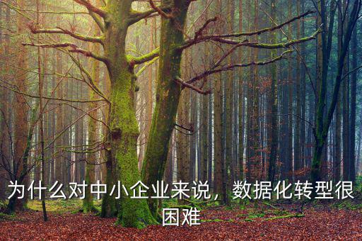 為什么對(duì)中小企業(yè)來說，數(shù)據(jù)化轉(zhuǎn)型很困難