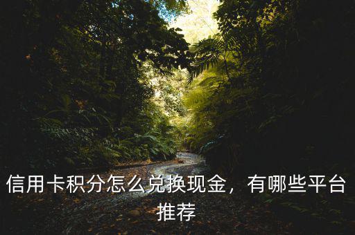 信用卡積分怎么兌換現(xiàn)金，有哪些平臺推薦