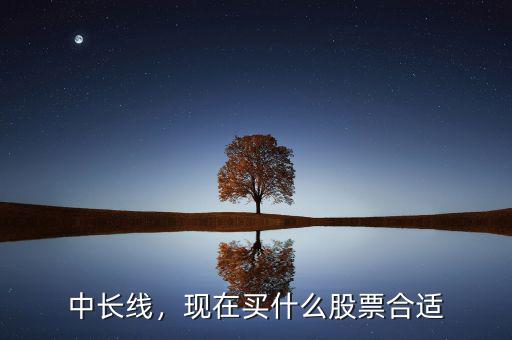 中長線，現(xiàn)在買什么股票合適