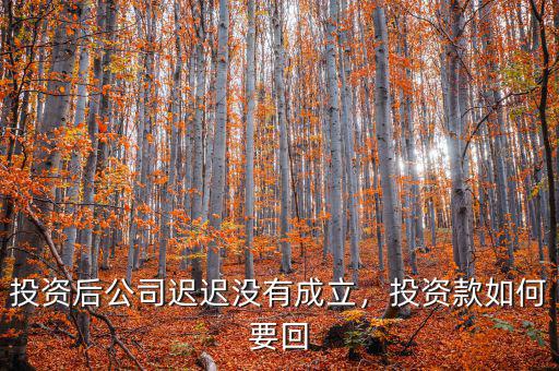 投資后公司遲遲沒有成立，投資款如何要回