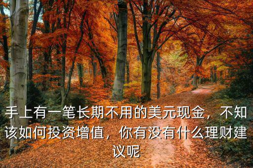 手上有一筆長期不用的美元現(xiàn)金，不知該如何投資增值，你有沒有什么理財建議呢
