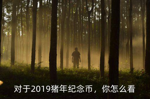 對(duì)于2019豬年紀(jì)念幣，你怎么看