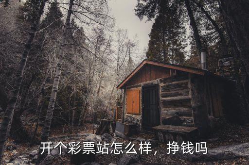 開(kāi)個(gè)彩票站怎么樣，掙錢(qián)嗎