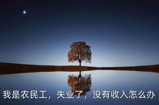 我是農(nóng)民工，失業(yè)了，沒有收入怎么辦