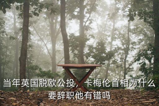 當(dāng)年英國(guó)脫歐公投，卡梅倫首相為什么要辭職他有錯(cuò)嗎