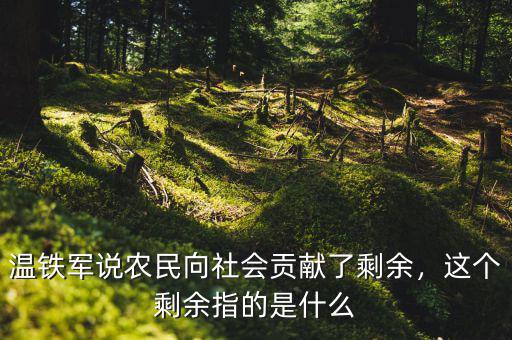溫鐵軍說農(nóng)民向社會(huì)貢獻(xiàn)了剩余，這個(gè)剩余指的是什么