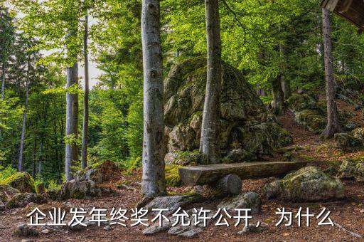 企業(yè)發(fā)年終獎(jiǎng)不允許公開(kāi)，為什么