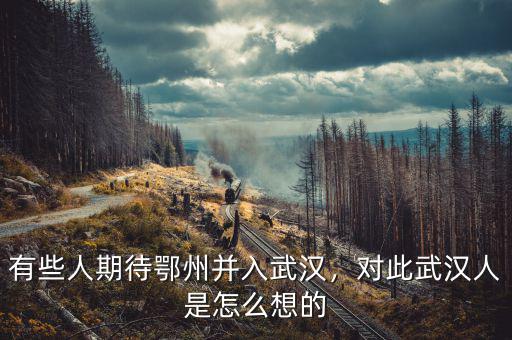 有些人期待鄂州并入武漢，對(duì)此武漢人是怎么想的