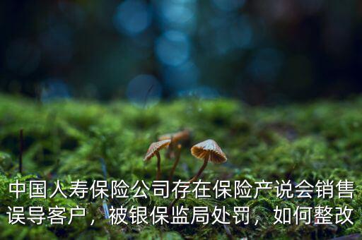 中國人壽保險公司存在保險產(chǎn)說會銷售誤導(dǎo)客戶，被銀保監(jiān)局處罰，如何整改