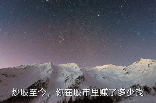 炒股至今，你在股市里賺了多少錢