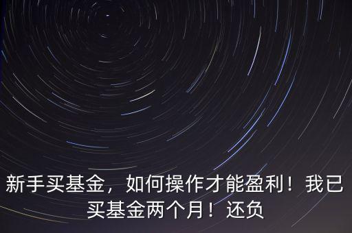 新手買基金，如何操作才能盈利！我已買基金兩個(gè)月！還負(fù)