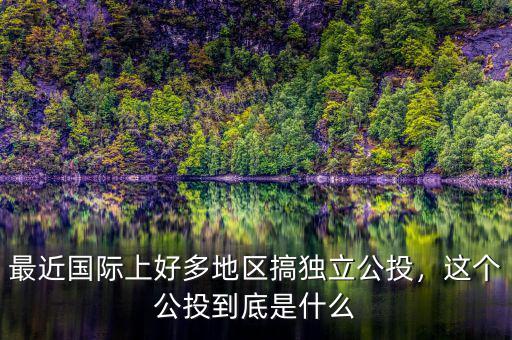 最近國際上好多地區(qū)搞獨(dú)立公投，這個(gè)公投到底是什么