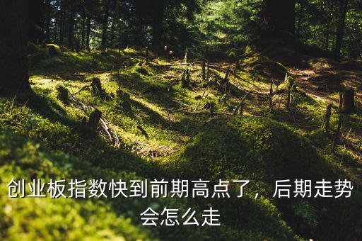 創(chuàng)業(yè)板指數(shù)快到前期高點(diǎn)了，后期走勢會(huì)怎么走