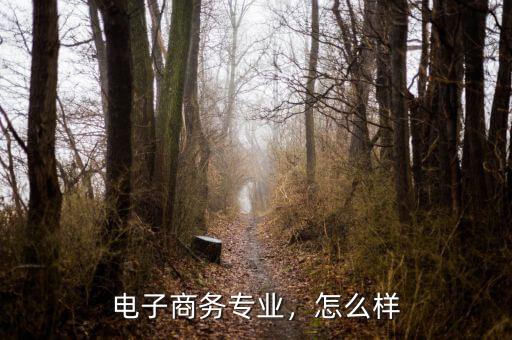 美的電子商務怎么樣,電子商務專業(yè)