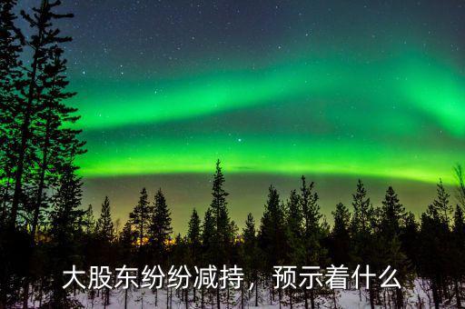大股東紛紛減持，預示著什么