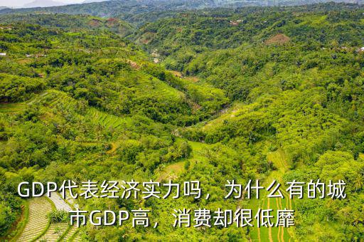 GDP代表經(jīng)濟(jì)實力嗎，為什么有的城市GDP高，消費(fèi)卻很低靡
