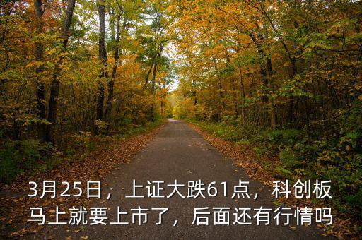 3月25日，上證大跌61點，科創(chuàng)板馬上就要上市了，后面還有行情嗎