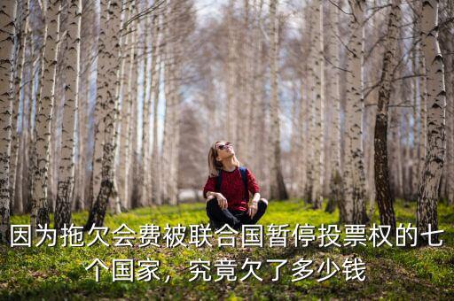 因?yàn)橥锨窌?huì)費(fèi)被聯(lián)合國暫停投票權(quán)的七個(gè)國家，究竟欠了多少錢