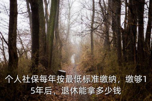 個人社保每年按最低標準繳納，繳夠15年后，退休能拿多少錢