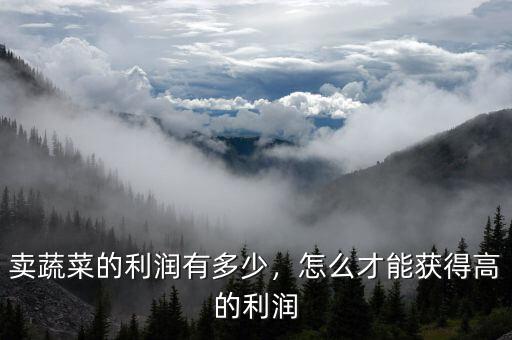 賣(mài)蔬菜的利潤(rùn)有多少，怎么才能獲得高的利潤(rùn)