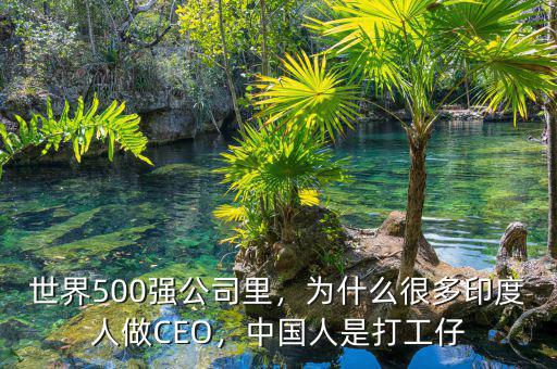 世界500強公司里，為什么很多印度人做CEO，中國人是打工仔