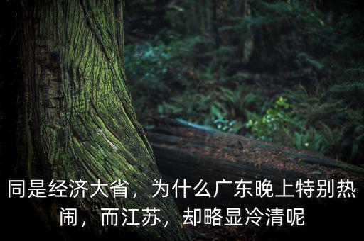 同是經(jīng)濟(jì)大省，為什么廣東晚上特別熱鬧，而江蘇，卻略顯冷清呢