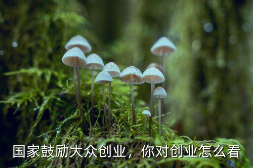 國(guó)家鼓勵(lì)大眾創(chuàng)業(yè)，你對(duì)創(chuàng)業(yè)怎么看