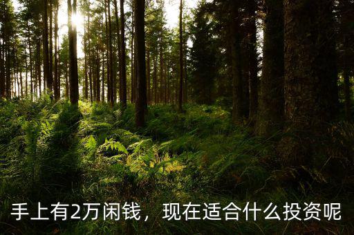 手上有2萬閑錢，現(xiàn)在適合什么投資呢