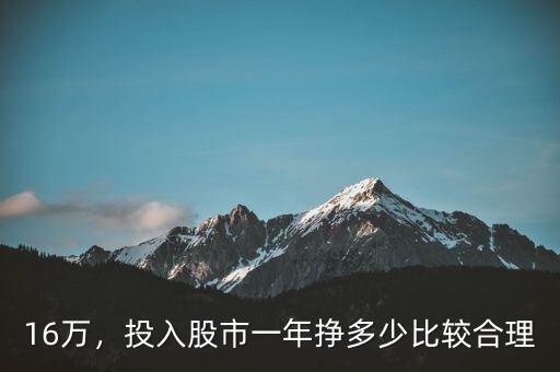 16萬(wàn)，投入股市一年掙多少比較合理