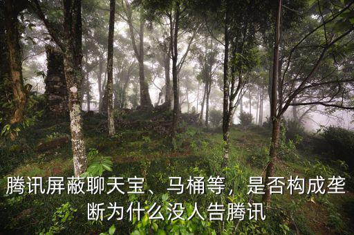 騰訊屏蔽聊天寶、馬桶等，是否構(gòu)成壟斷為什么沒人告騰訊