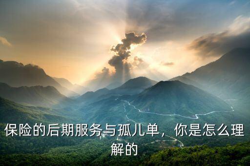 保險(xiǎn)的后期服務(wù)與孤兒單，你是怎么理解的