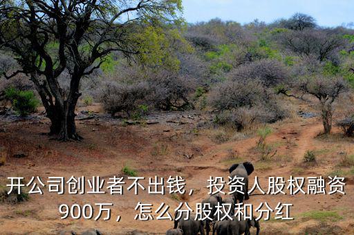 開公司創(chuàng)業(yè)者不出錢，投資人股權(quán)融資900萬，怎么分股權(quán)和分紅