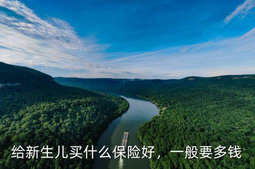 給新生兒買(mǎi)什么保險(xiǎn)好，一般要多錢(qián)