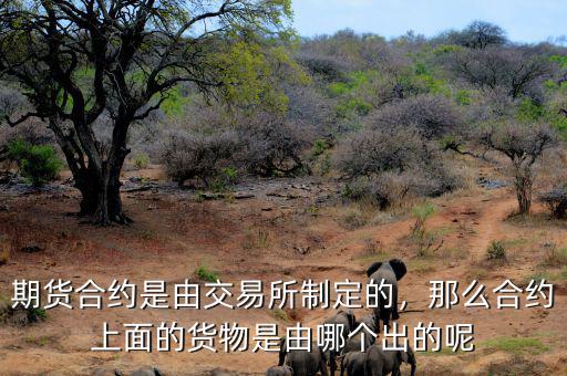 期貨合約是由交易所制定的，那么合約上面的貨物是由哪個出的呢