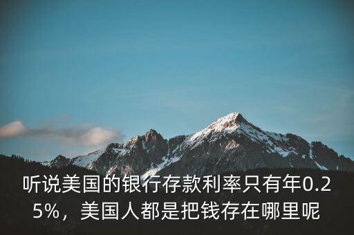 聽說美國的銀行存款利率只有年0.25%，美國人都是把錢存在哪里呢