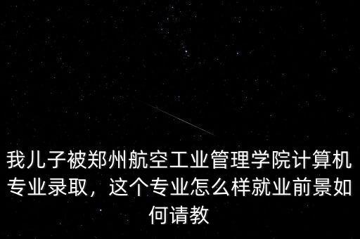 我兒子被鄭州航空工業(yè)管理學(xué)院計(jì)算機(jī)專業(yè)錄取，這個專業(yè)怎么樣就業(yè)前景如何請教