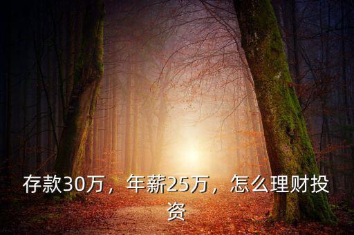 存款30萬(wàn)，年薪25萬(wàn)，怎么理財(cái)投資