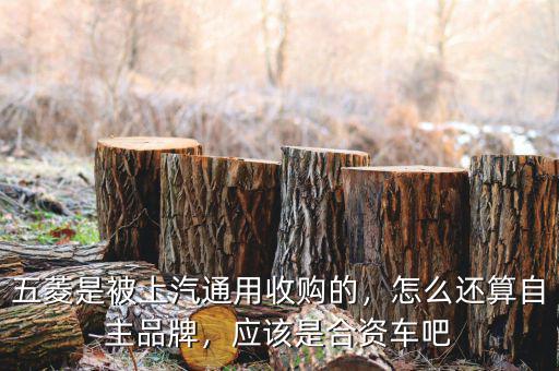 五菱是被上汽通用收購(gòu)的，怎么還算自主品牌，應(yīng)該是合資車吧