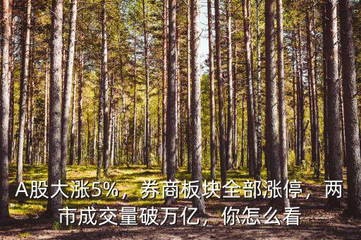A股大漲5%，券商板塊全部漲停，兩市成交量破萬(wàn)億，你怎么看