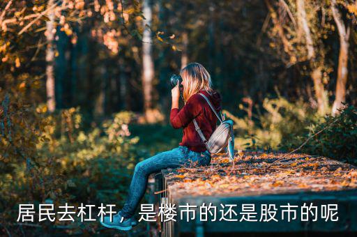 居民去杠桿，是樓市的還是股市的呢