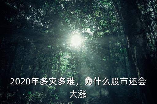 2020年多災(zāi)多難，為什么股市還會大漲