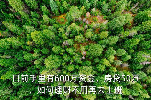 目前手里有600萬資金，房貸50萬，如何理財不用再去上班