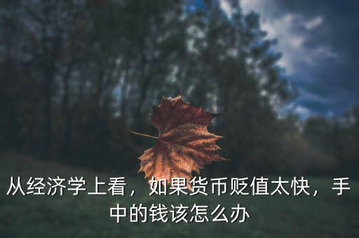 從經(jīng)濟(jì)學(xué)上看，如果貨幣貶值太快，手中的錢該怎么辦
