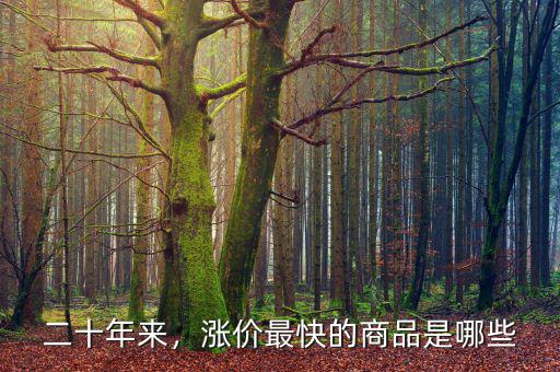 二十年來(lái)，漲價(jià)最快的商品是哪些