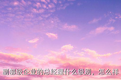 副部級(jí)企業(yè)的總經(jīng)理什么級(jí)別，怎么樣