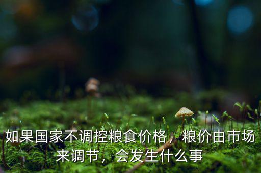 如果國家不調(diào)控糧食價(jià)格，糧價(jià)由市場來調(diào)節(jié)，會發(fā)生什么事